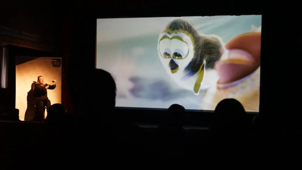 Comenzó el Festival Audiovisual Bariloche, una semana para disfrutar proyecciones