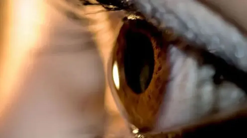 Se realizó un operativo de donación de tejido corneal en el Hospital zonal