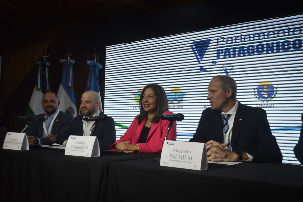 “Río Negro fue ejemplo en la declaración unánime contra el intento de asesinato de CFK”