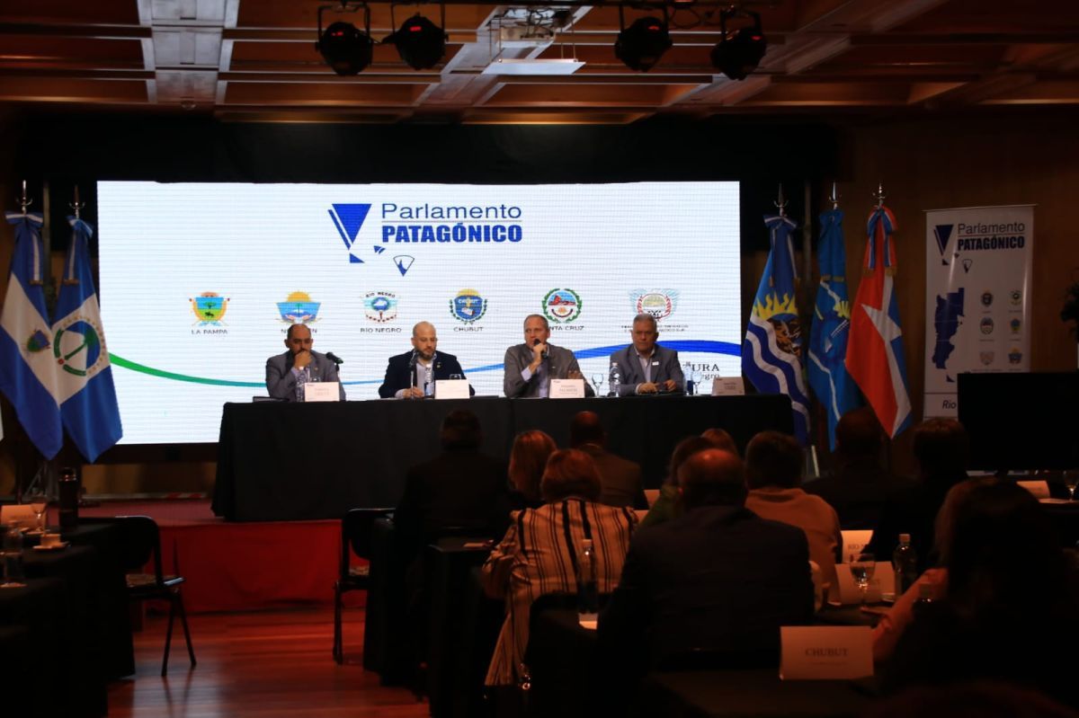 Subir el tope del subsidio a las tarifas eléctricas, uno de los pedidos del Parlamento Patagónico
