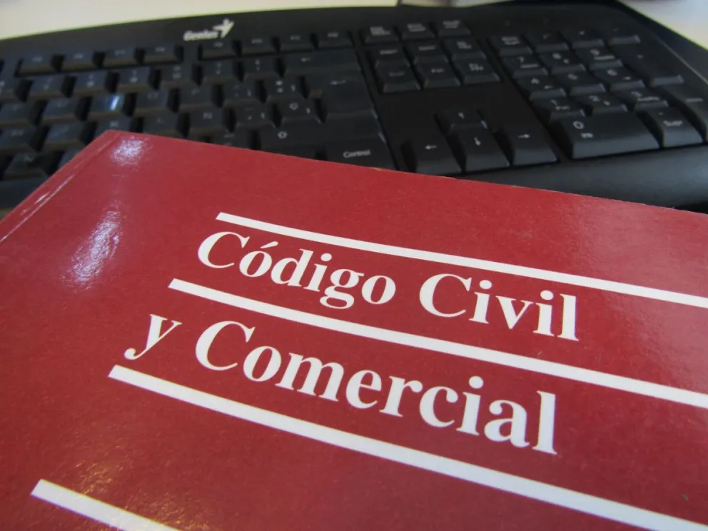 ¿Qué es la privación de la responsabilidad parental?
