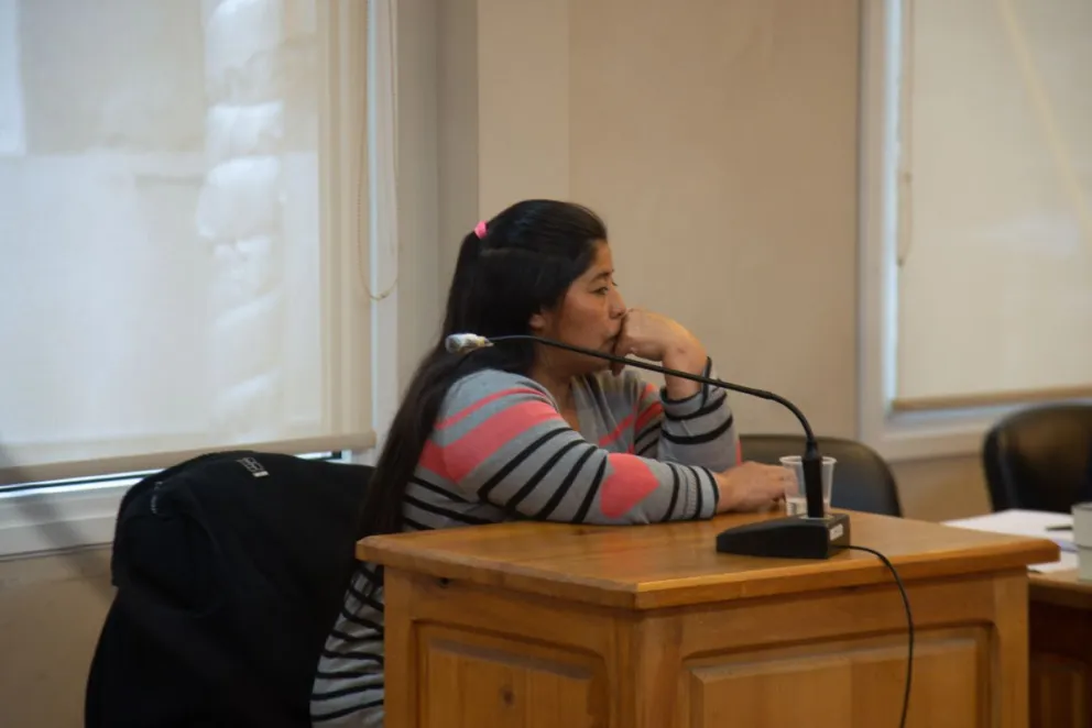 Crimen de Micaela Bravo: la querella pidió 15 años de prisión para Paine