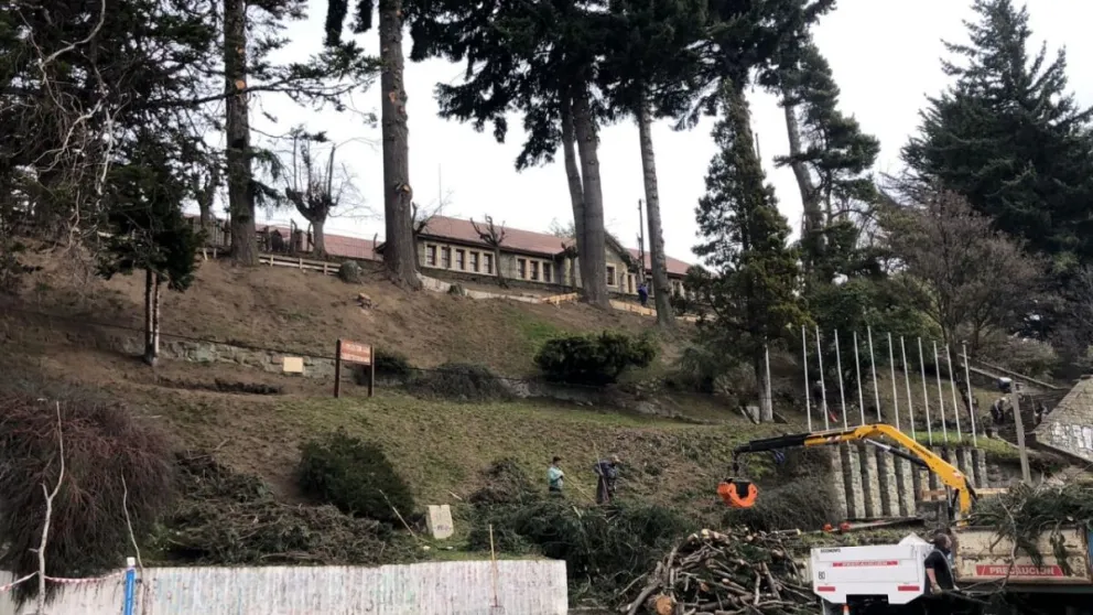 Qué trabajos se están haciendo en el Paseo de las Colectividades