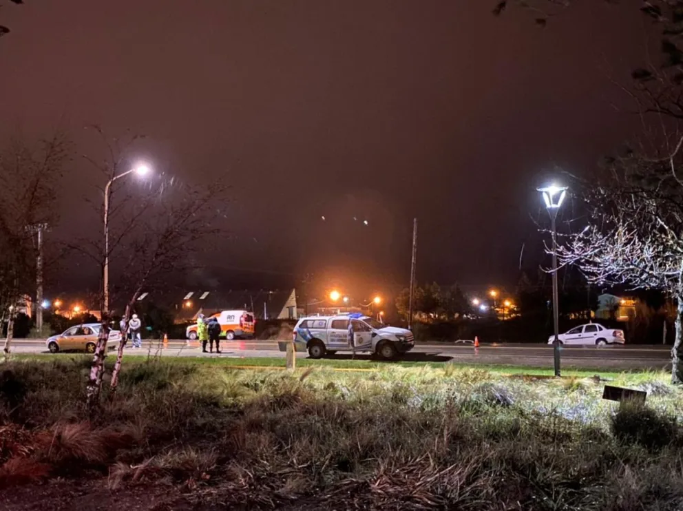 Un vehículo chocó contra un caballo 