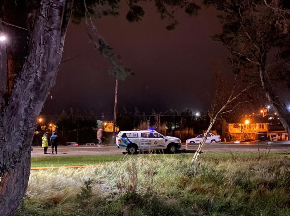 Vecinos del Este habían advertido sobre el riesgo de animales sueltos en la zona