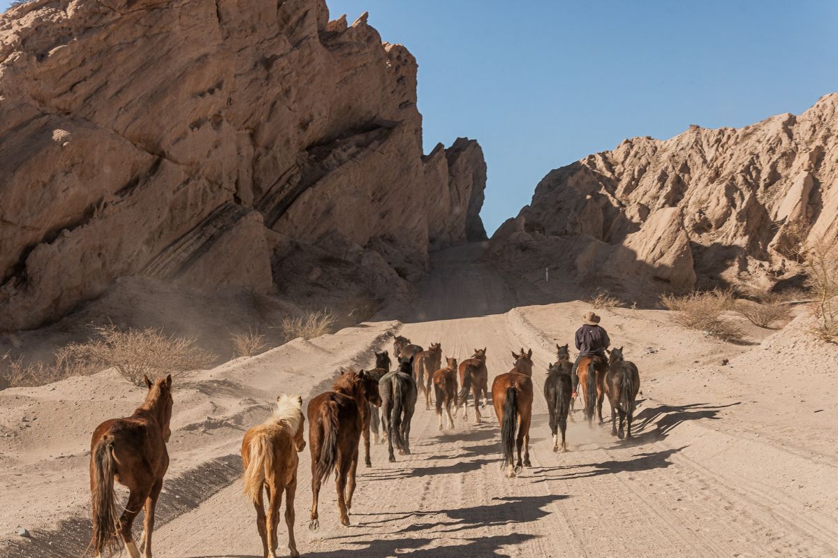 Un recorrido por los Valles Calchaquíes y la ruta 40 en su versión norteña