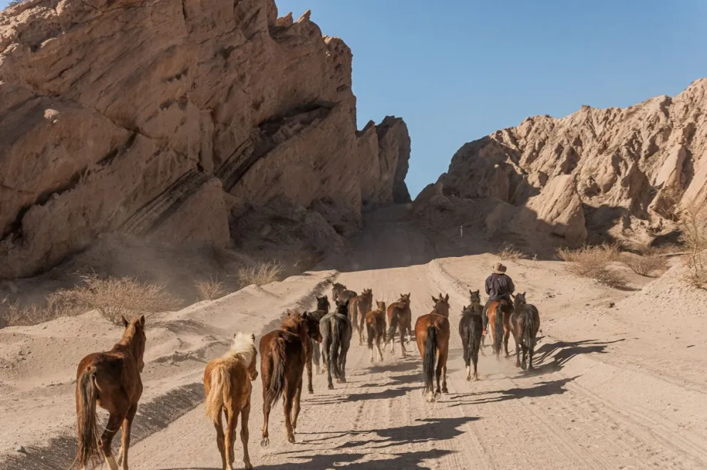 Un recorrido por los Valles Calchaquíes y la ruta 40 en su versión norteña