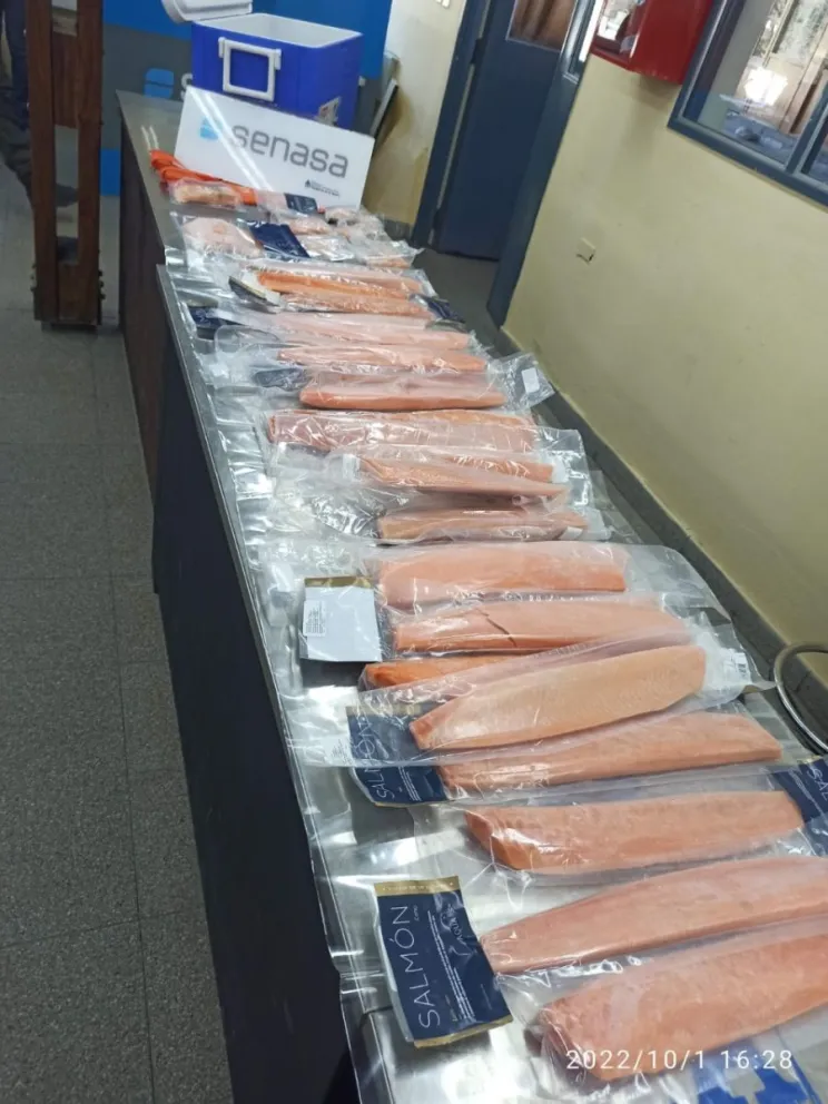 Intentaron ingresar 22 kilos de salmón desde Chile en un vehículo particular