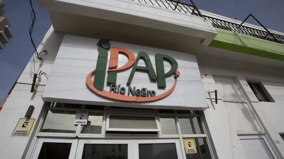 Abren las inscripciones para el Ipap: qué propuestas educativas tiene