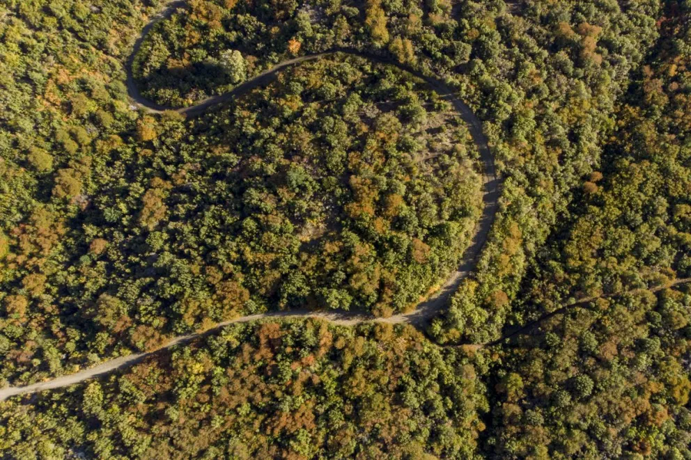 Finalmente, se aprobó la realización del mapa de bosques protectores, nativos y permanentes