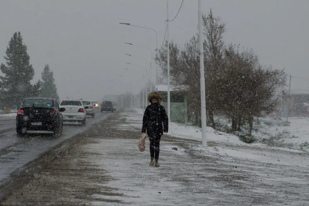 La "nevada de los tontos" llegó a Bariloche