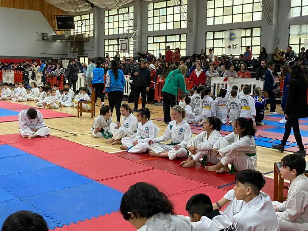 El taekwondo tiene cita con la Copa TIF