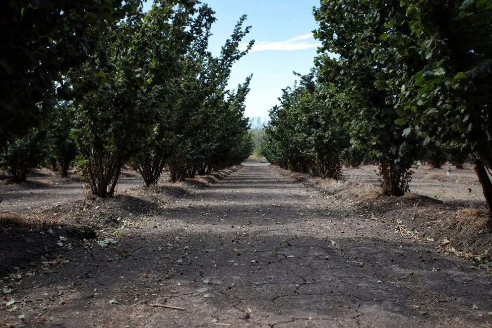 Anuncian medidas fiscales y crediticias para la zona cordillerana