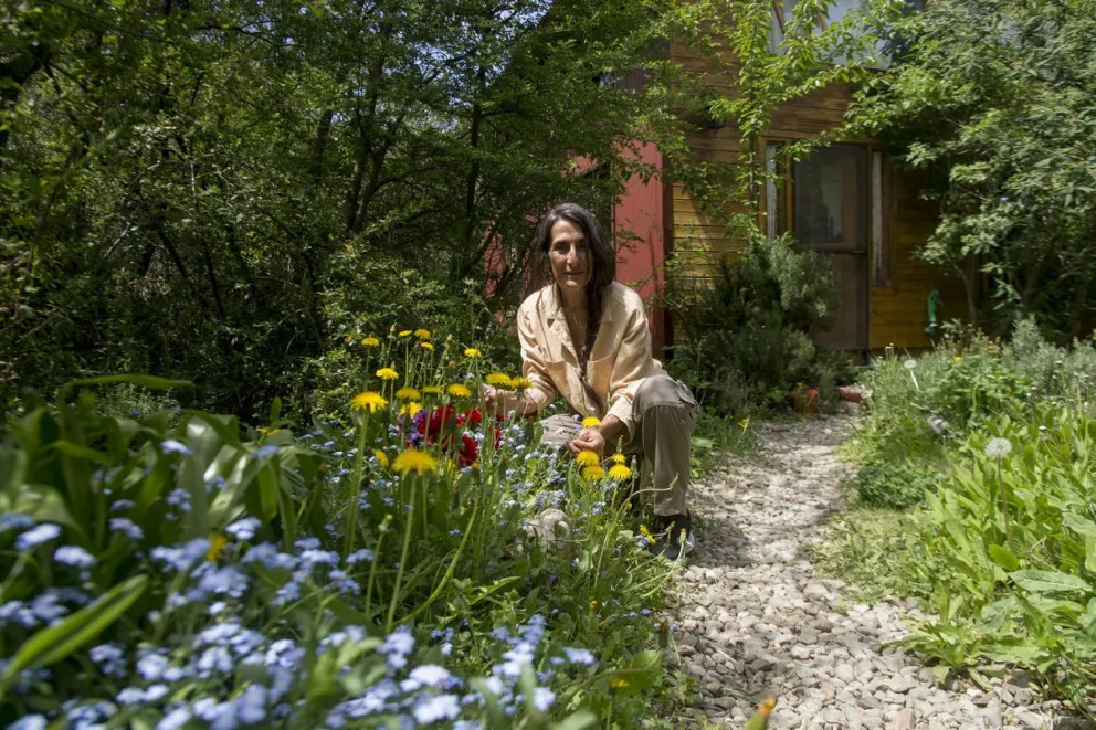 Plantas medicinales y reflexología, otras maneras de curar 