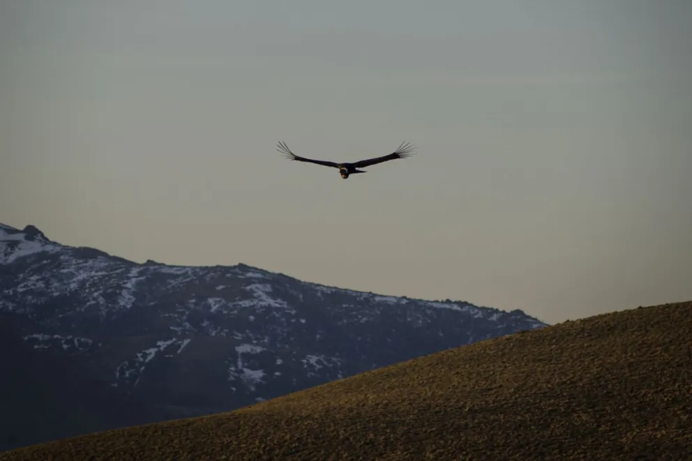 El impacto ambiental del proyecto de Hidrógeno Verde