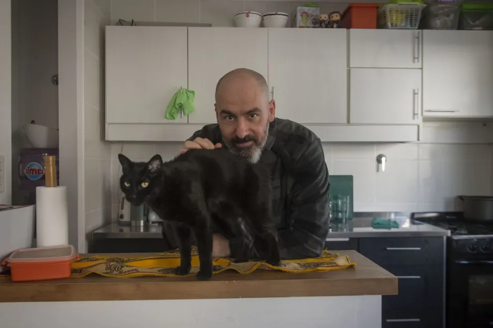 Educación felina: "dedicándole tiempo de calidad, el gato puede ser la mejor compañía”