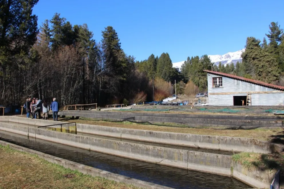 Está abierto el llamado a ofertas para la concesión del Centro de Salmonicultura