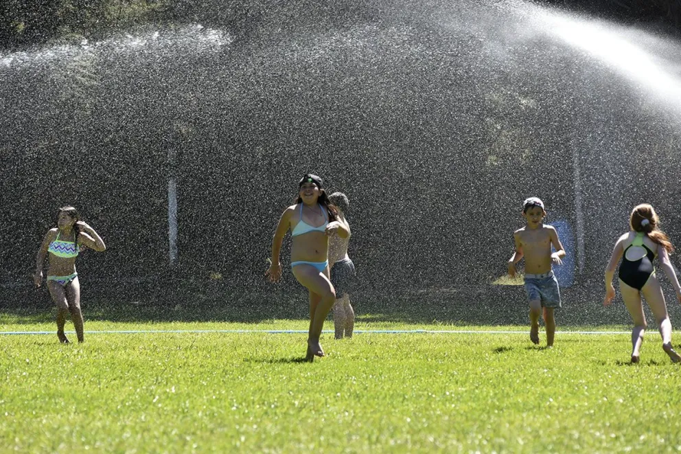 El servicio telefónico gratuito que busca proteger a las infancias