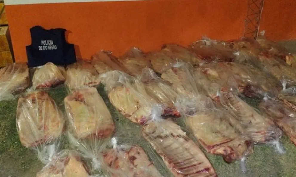 En un año se decomisaron más de 19 mil kilos de carne