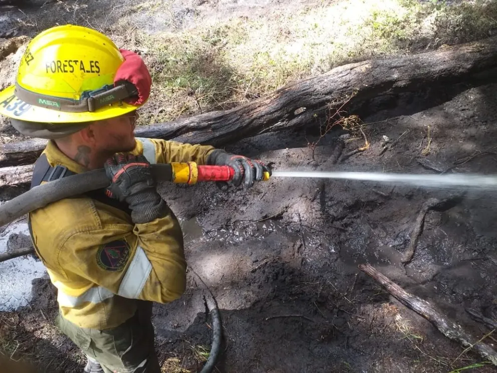 Ocho combatientes del Splif permanecen en Tierra del Fuego