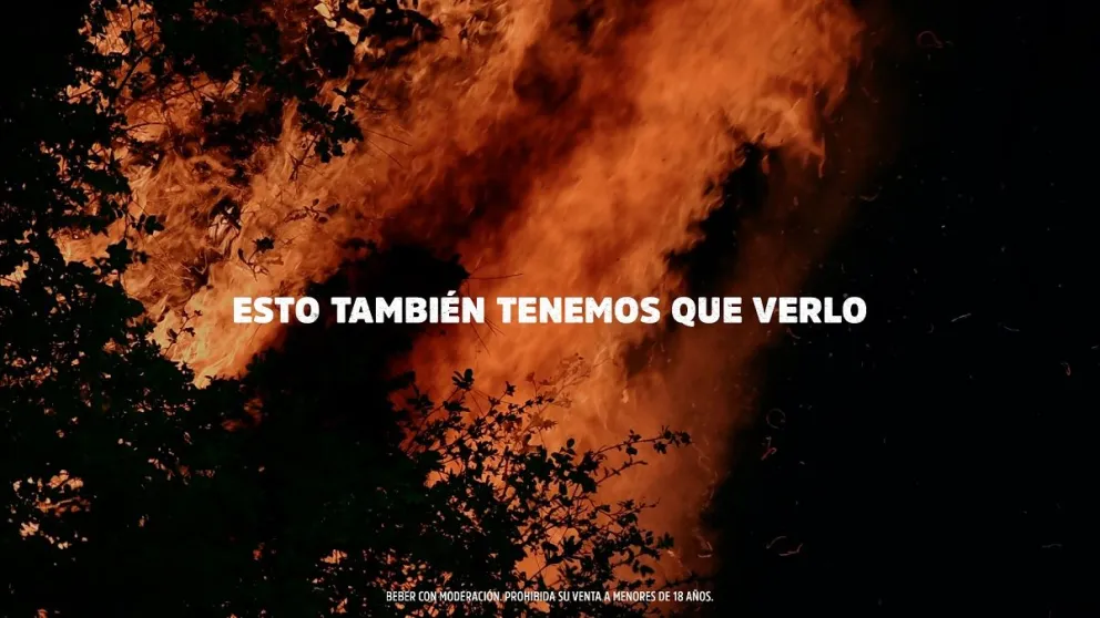 Presentan una herramienta que monitorea la probabilidad de incendios forestales