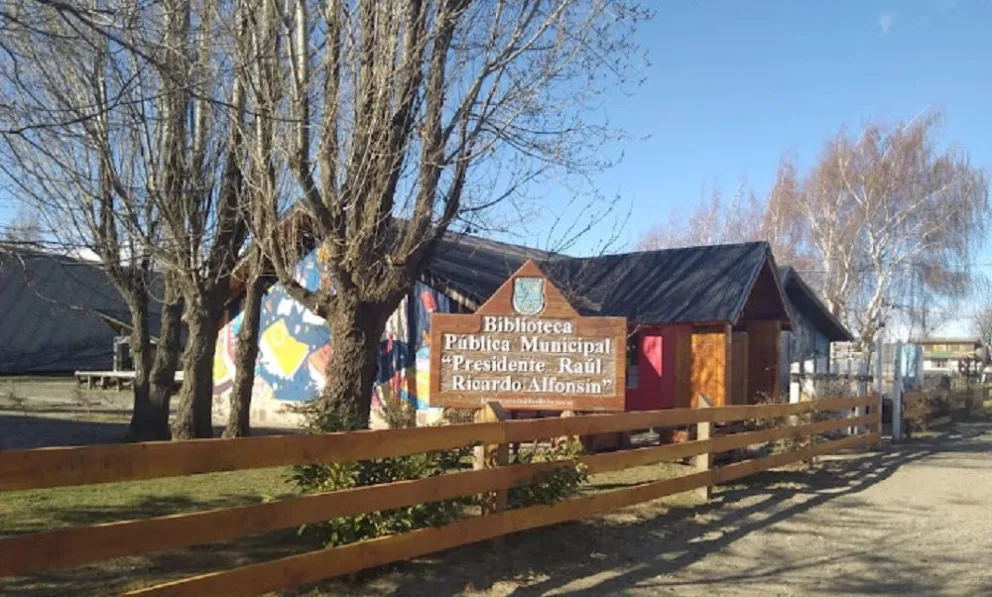 Más de 60 libros en braille llegaron a la biblioteca “Raúl Alfonsín”
