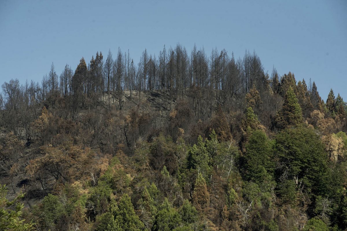 Comenzó la temporada de quema para prevenir incendios forestales
