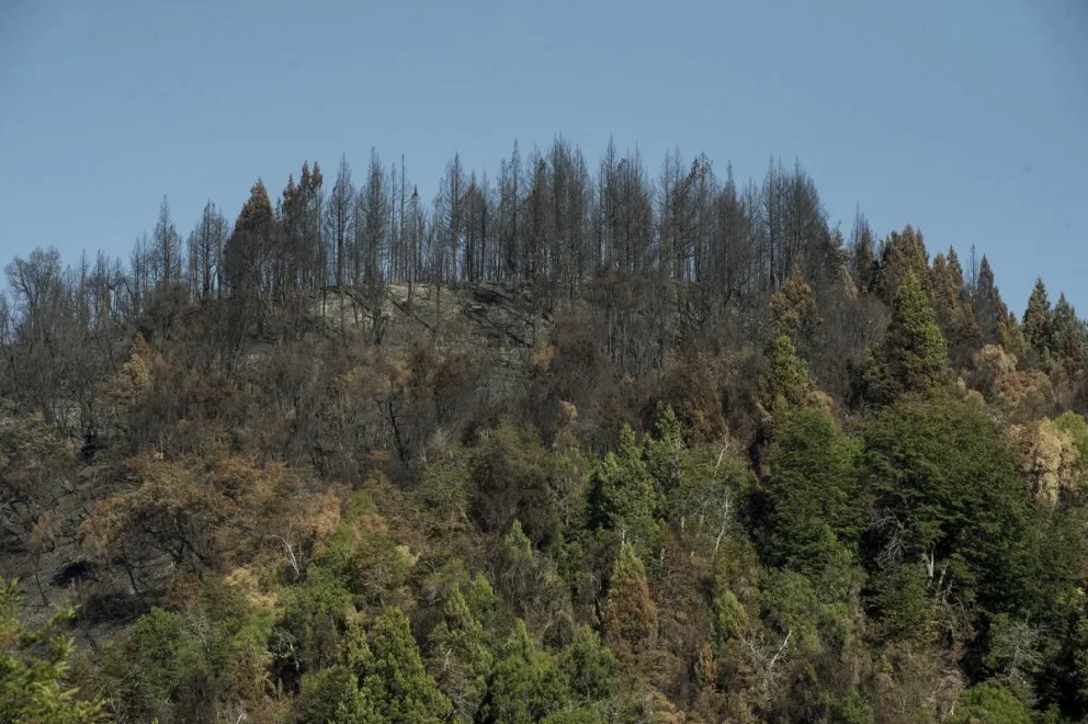 Comenzó la temporada de quema para prevenir incendios forestales
