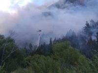 Un incendio forestal en El Hoyo pone en alerta a la región