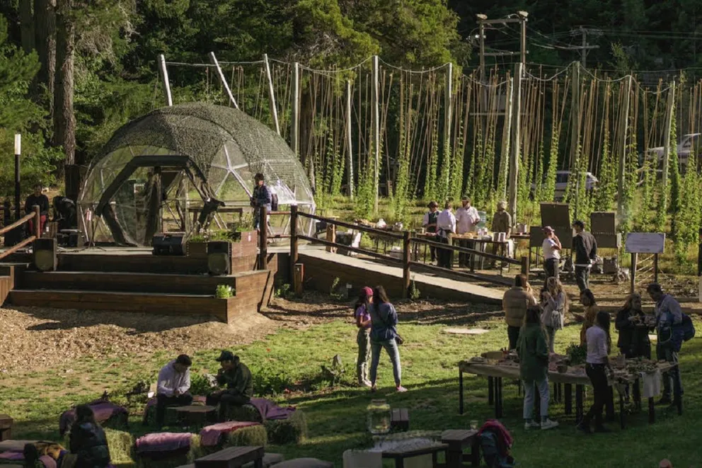 Ginkgo, un gin que promueve el cuidado de la flora autóctona