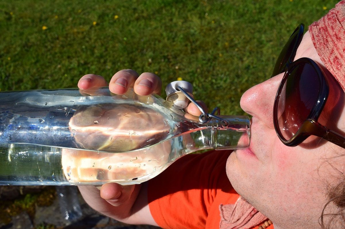 Un nuevo estudio científico objeta la recomendación de beber dos litros de agua al día