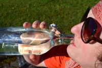 Un nuevo estudio científico objeta la recomendación de beber dos litros de agua al día