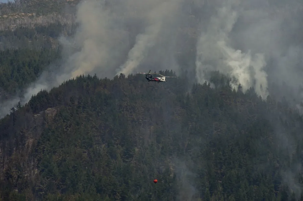 Feroz incendio en un cerro de El Hoyo: alrededor de 58 personas fueron evacuadas