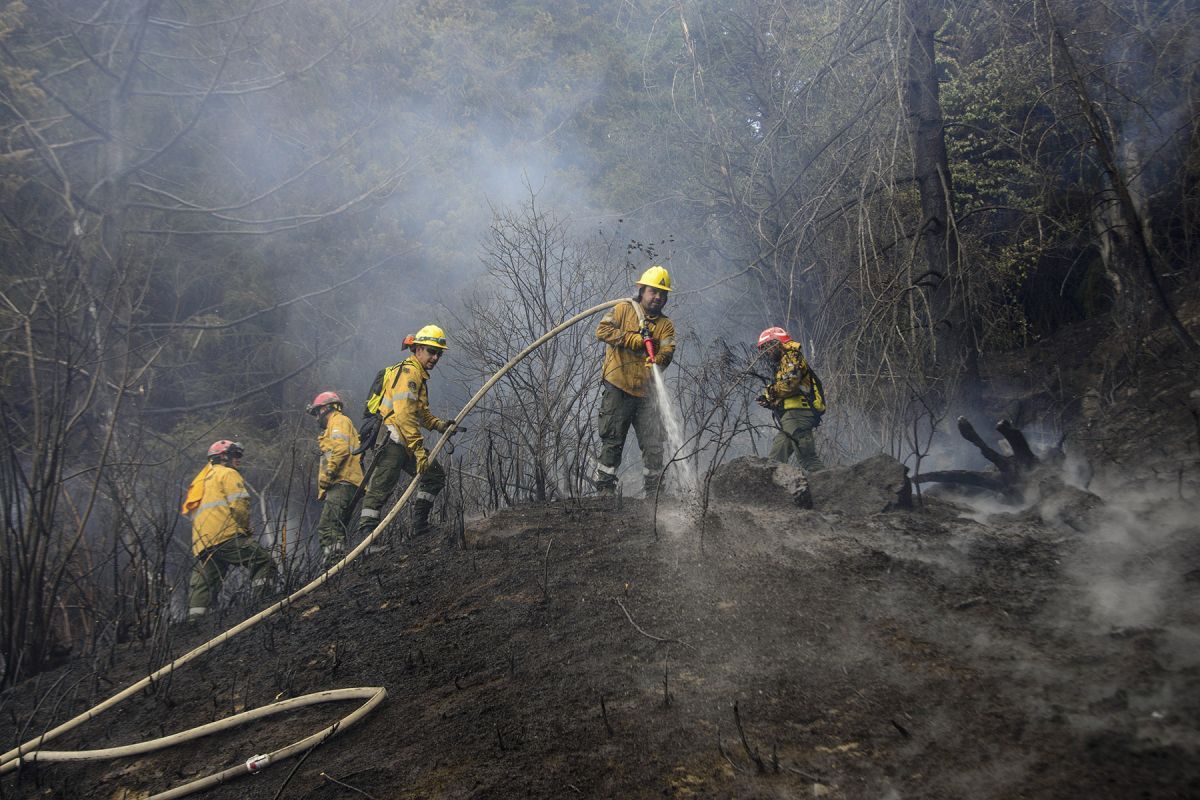 Una quema mal apagada desató un incendio forestal en Mallín Ahogado