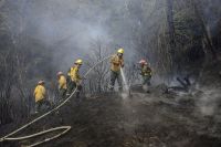 Una quema mal apagada desató un incendio forestal en Mallín Ahogado