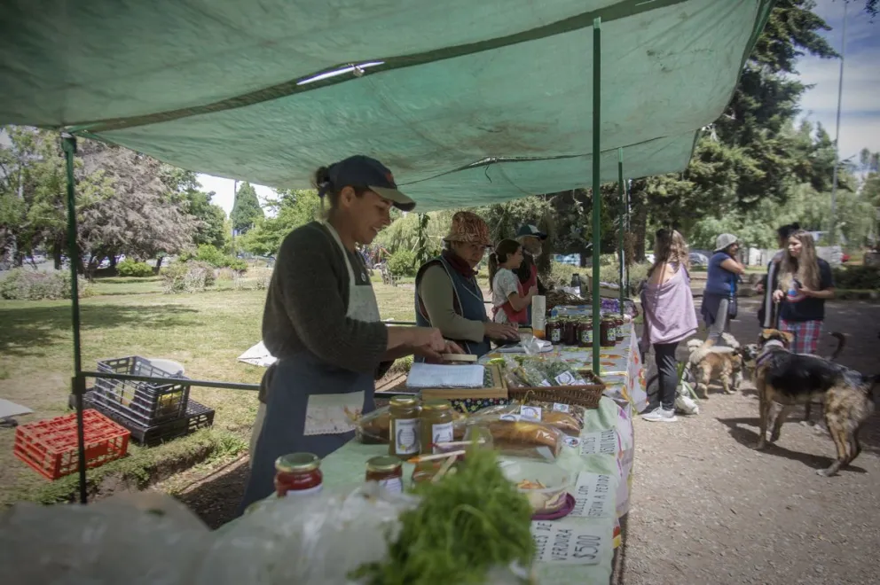 Feria Franca, una cita directa con los productores regionales