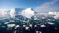 ¿Qué está pasando en la Antártida?