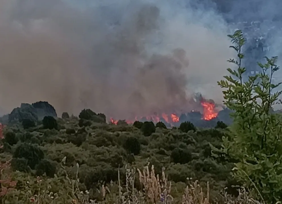 Importante incendio en la zona del San Francisco