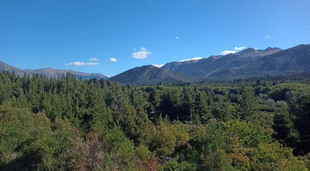 Recomendaciones para prevenir incendios forestales 