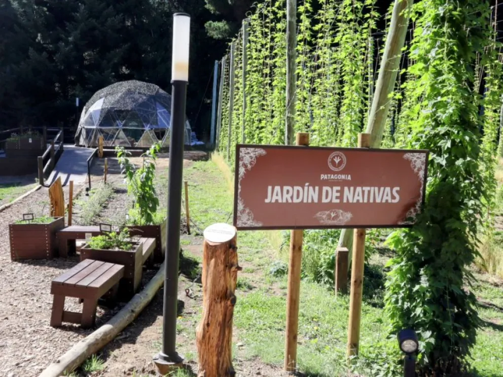 Cambio de paradigma: un jardín repleto de plantas nativas