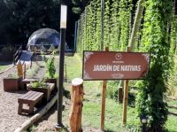 Cambio de paradigma: un jardín repleto de plantas nativas