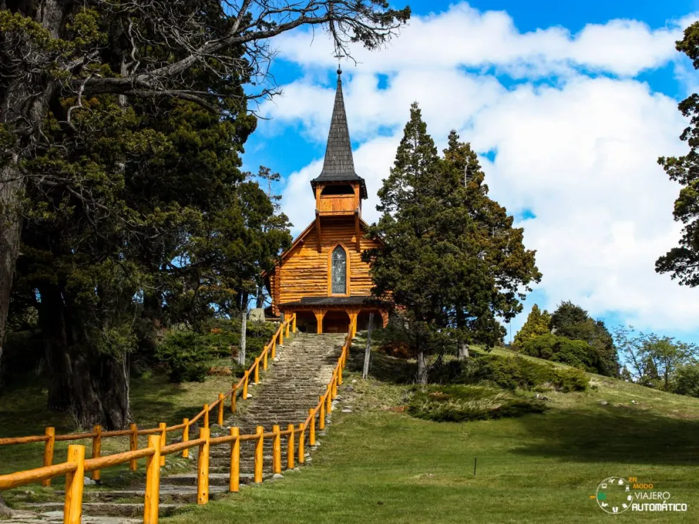 Ambientalistas repudian el apeo de un ciprés histórico
