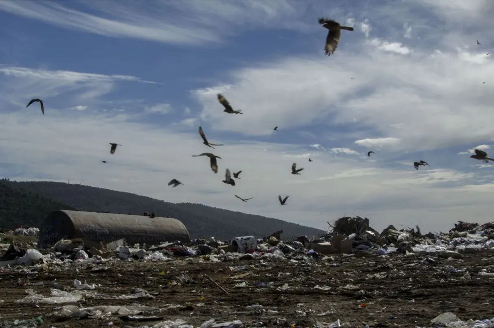  Un informe oficial asegura la reducción del Vertedero a un 17,5%