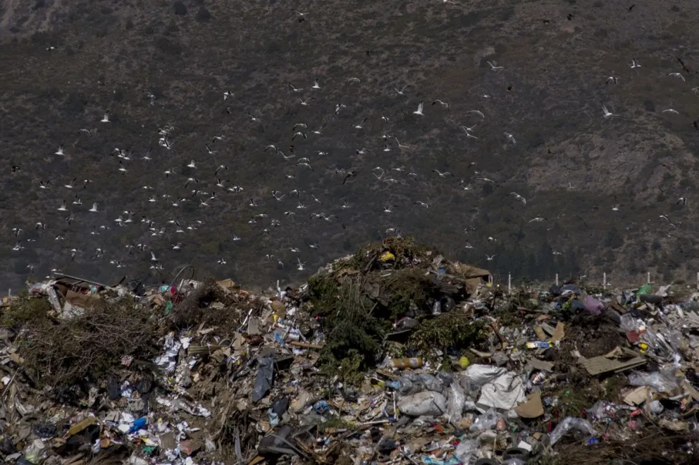 El Gobierno anunció que el nuevo modelo apunta a la generación de empleo y cierre progresivo de basurales a cielo abierto. Foto: Marcelo Martínez.