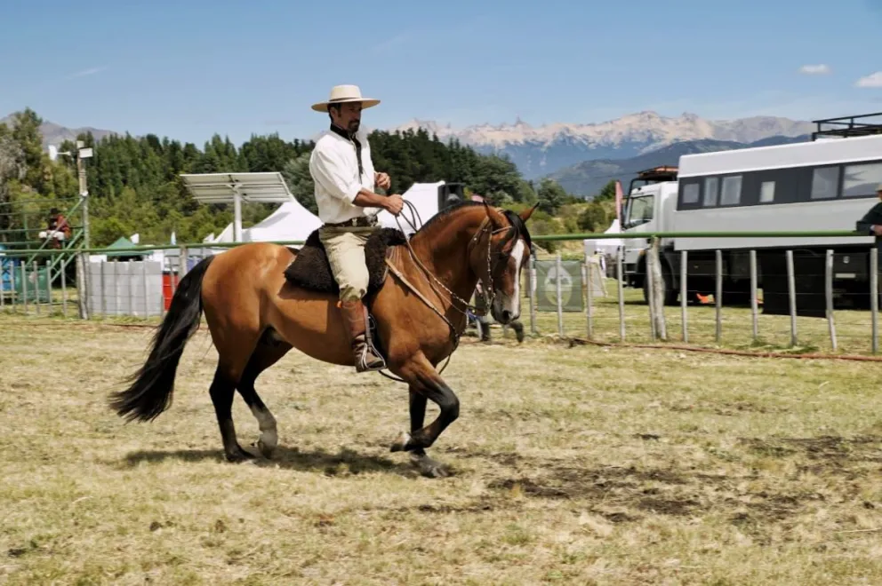 Residentes y turistas disfrutan lo mejor del campo en la Expo Rural