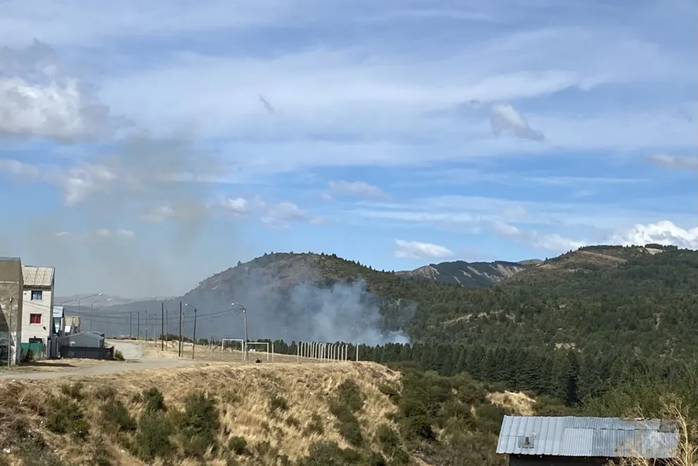 Contienen incendio en barrio Vivero
