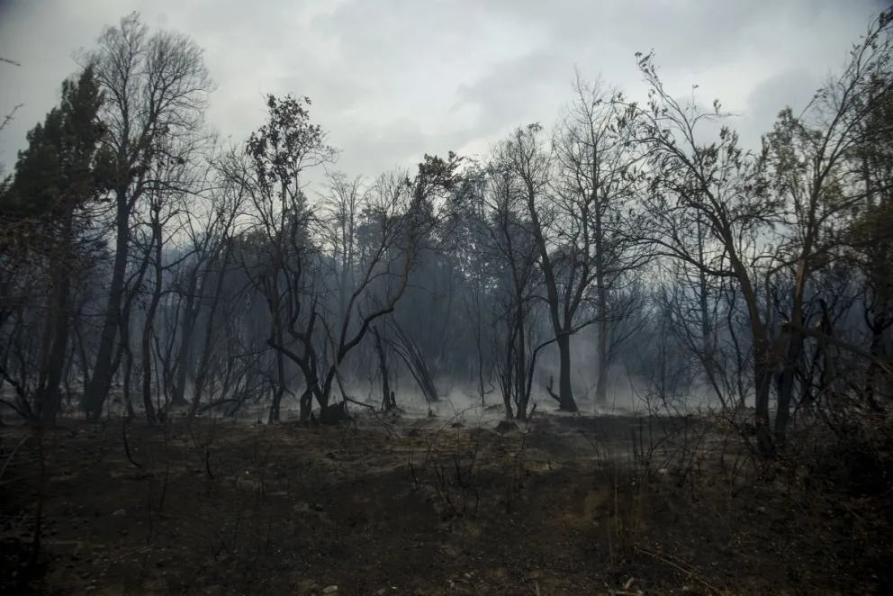 El incendio en El Bolsón lleva afectadas más de 220 hectáreas 