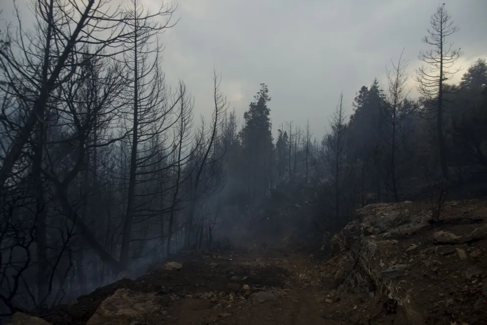 Liberaron al acusado de provocar el incendio en El Bolsón 