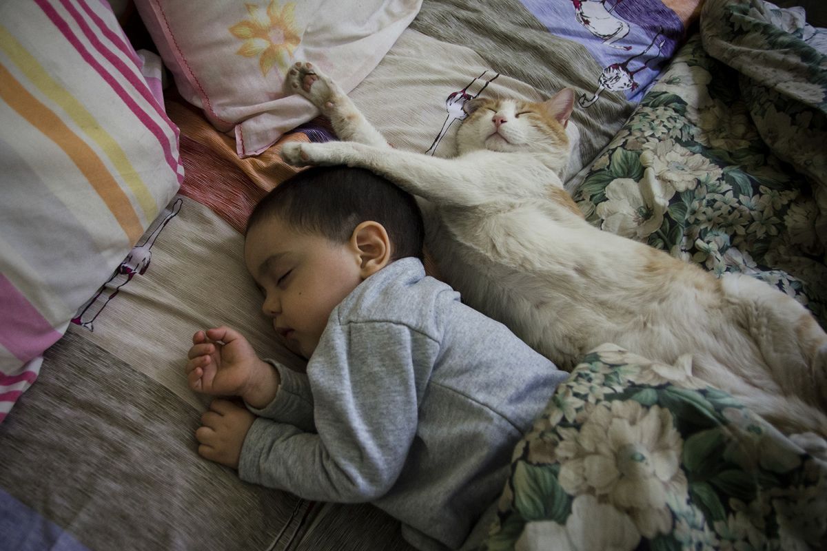 El 92% de los niños en edad escolar tiene problemas de sueño