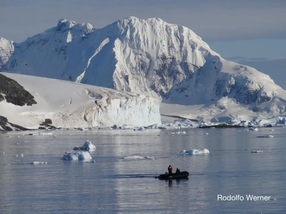 De Bariloche a la Antártida: la importancia de crear un Área Marina Protegida